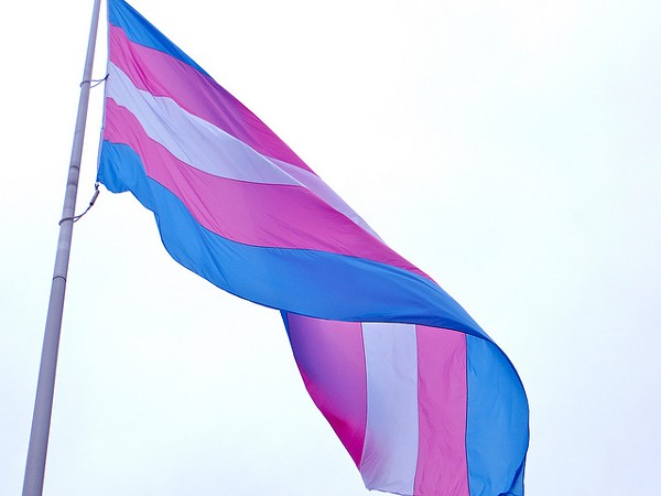 St. Louis flies transgender flag at city hall - The Missouri Times