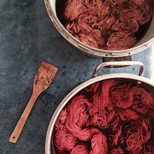 36049949_natural_dyeing_with_food_waste.jpg