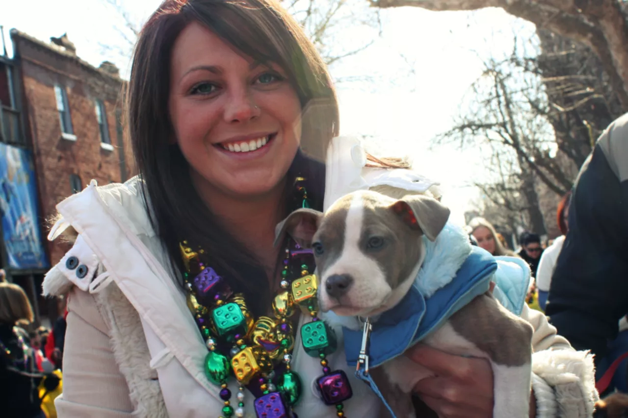 Dogs on Parade in Soulard St. Louis St. Louis Riverfront Times